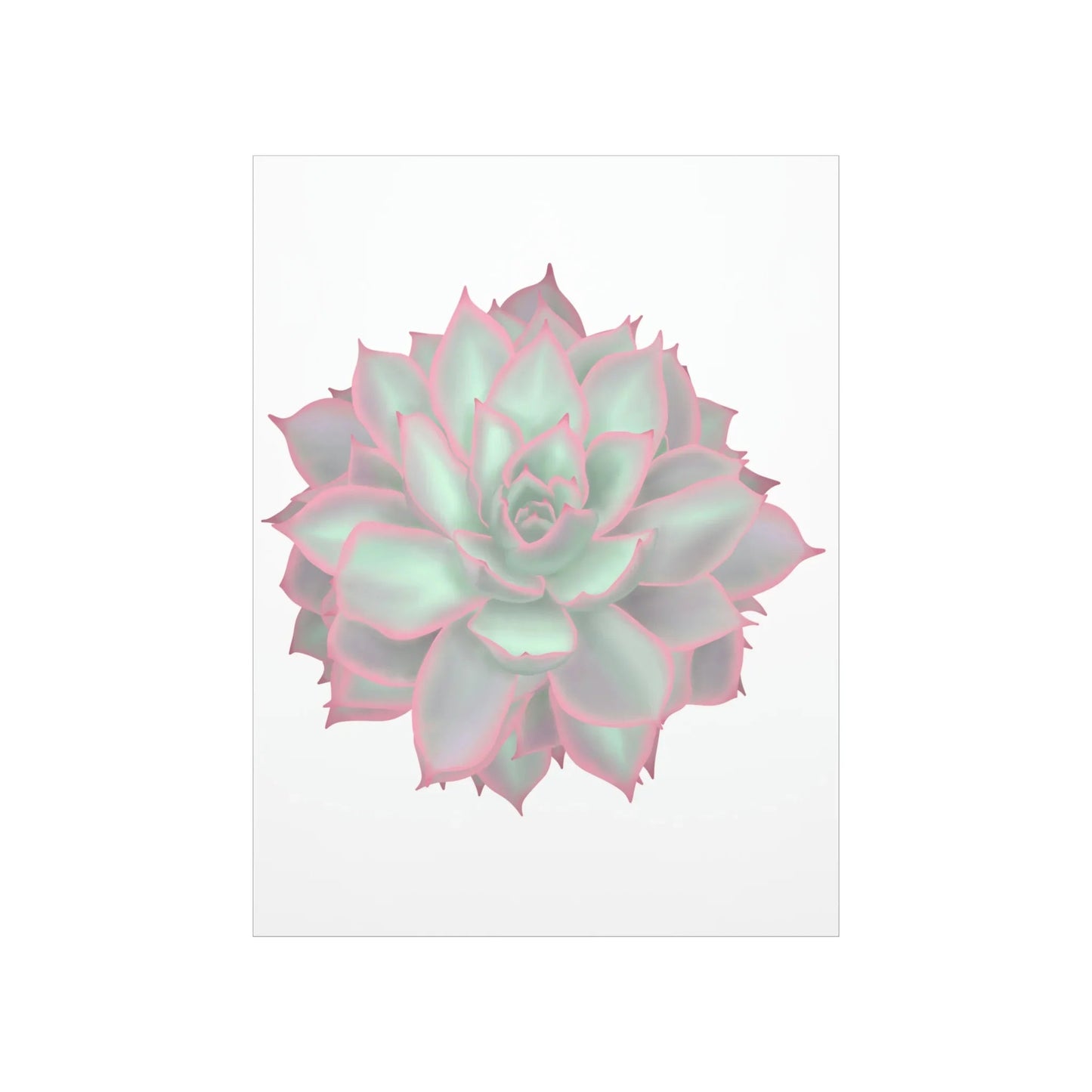 Echeveria Violet Queen Succulent Botanical Print – Unframed Wall Art