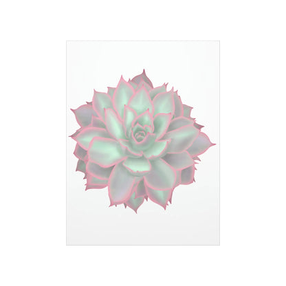 Echeveria Violet Queen Succulent Botanical Print – Unframed Wall Art