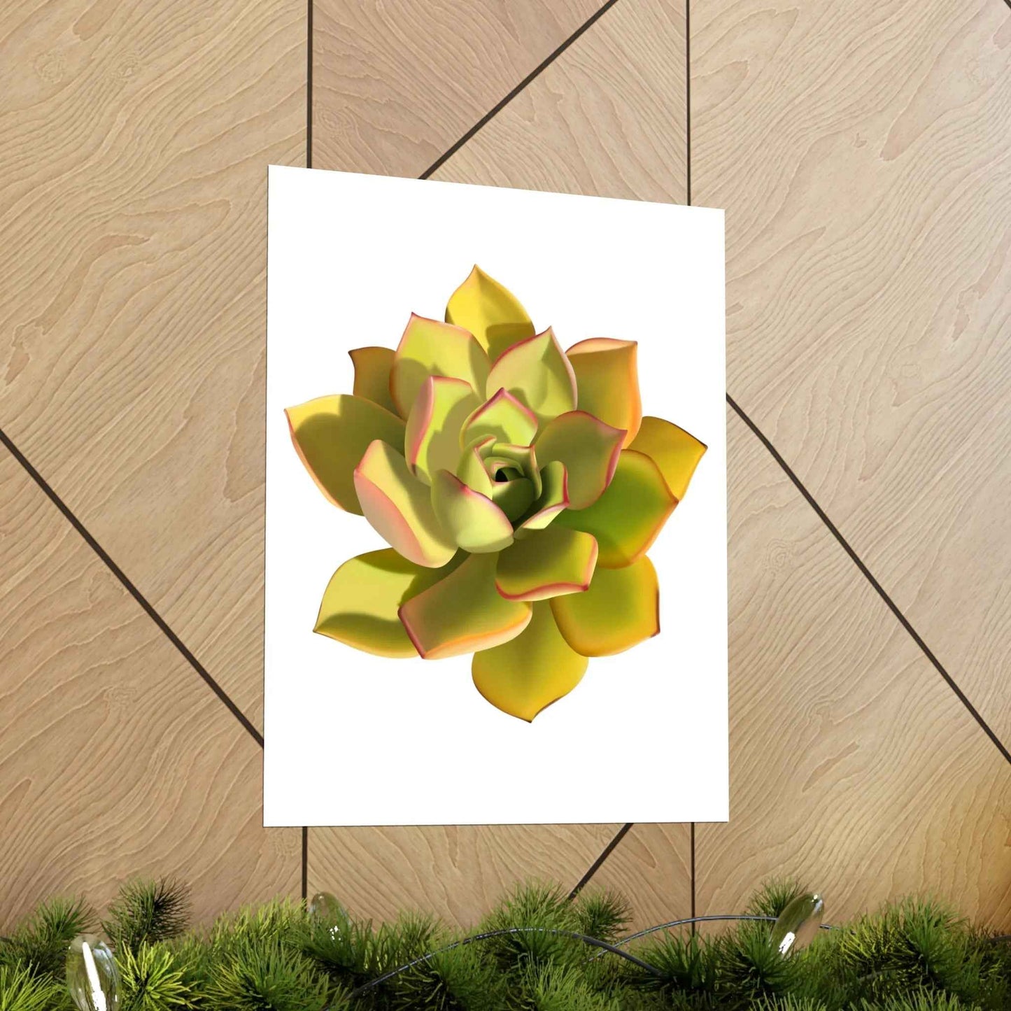 Noble Aeonium Succulent Botanical Print – Unframed Wall Art