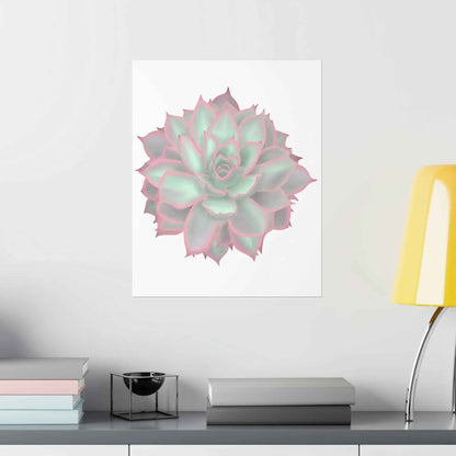 Echeveria Violet Queen Succulent Botanical Print – Unframed Wall Art