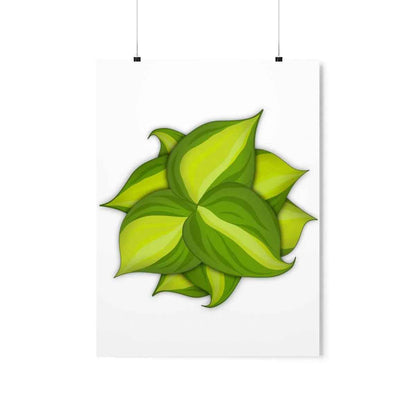 Philodendron Brasil Botanical Print – Unframed Wall Art