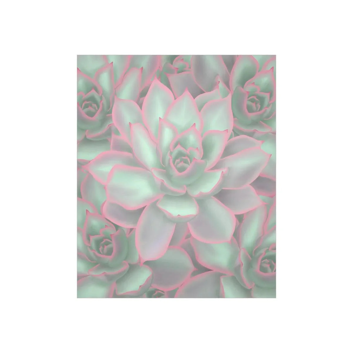 Echeveria Violet Queen Succulent Pattern Botanical Print – Unframed Wall Art