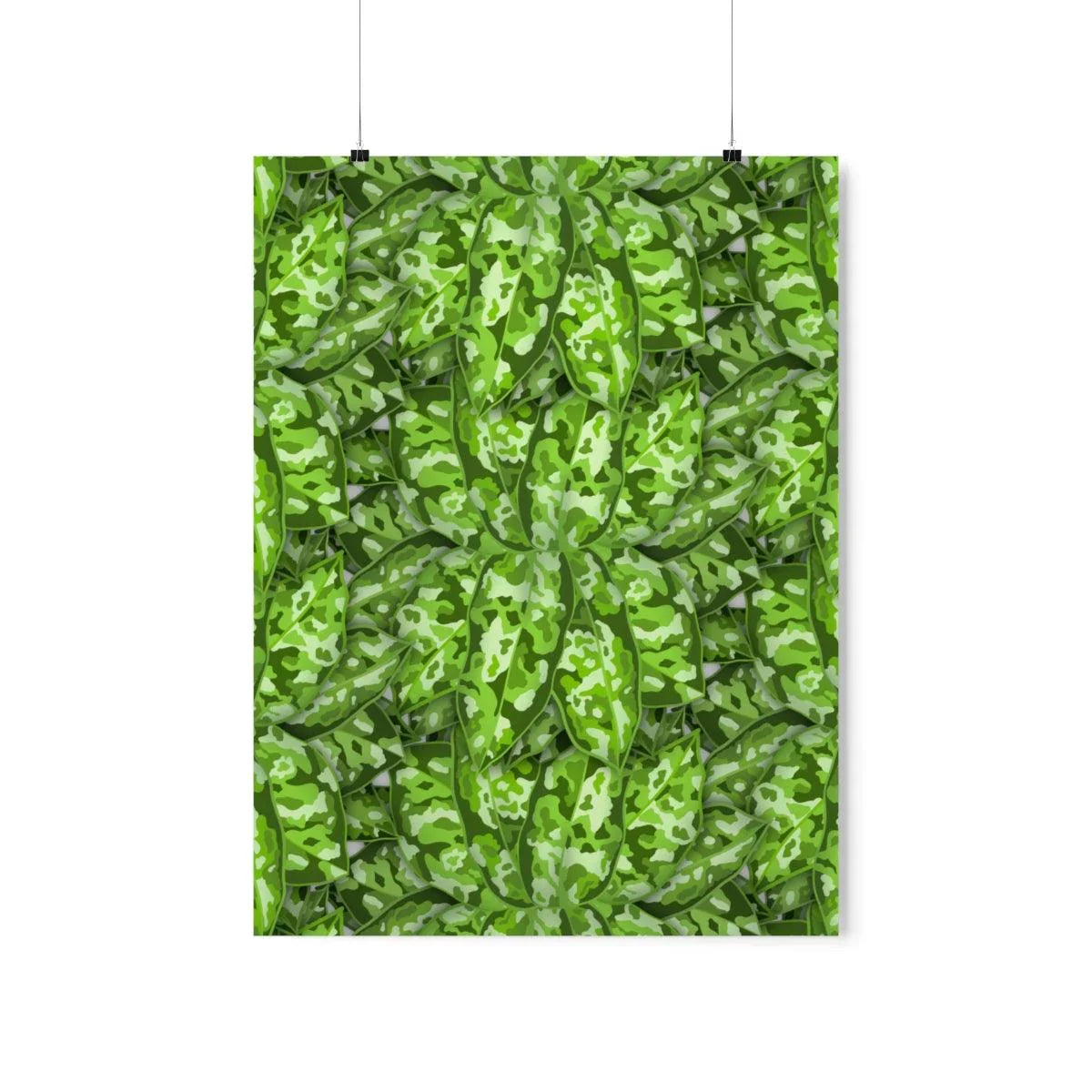 Aglaonema Pictum Botanical Print – Unframed Wall Art