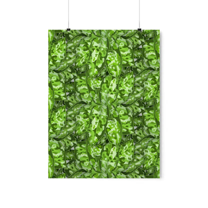 Aglaonema Pictum Botanical Print – Unframed Wall Art