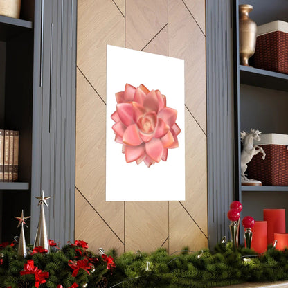 Graptosedum California Sunset Succulent Botanical Print – Unframed Wall Art