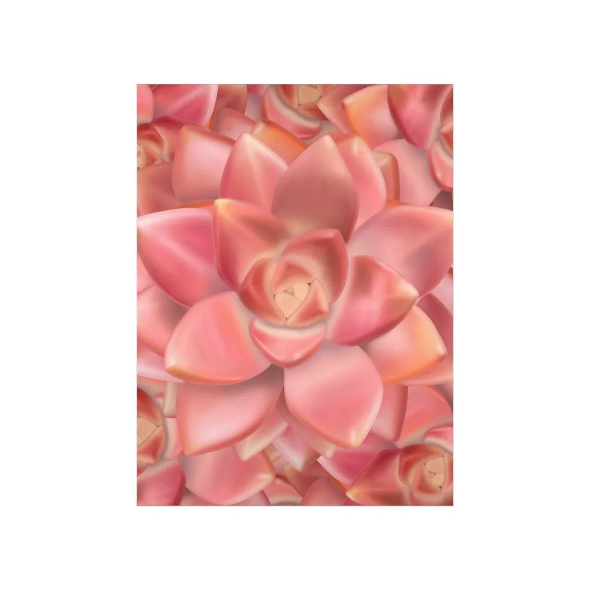Graptosedum California Sunset Succulent Pattern Botanical Print – Unframed Wall Art