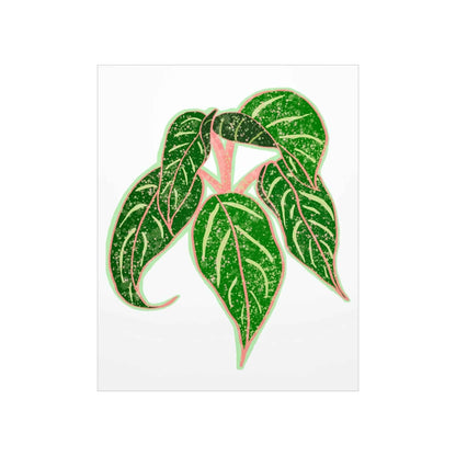 Aglaonema Sparkling Sarah Botanical Print – Unframed Wall Art