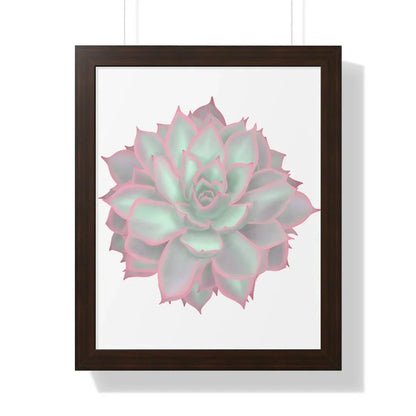 Echeveria Violet Queen Succulent Framed Print – Botanical Wall Art