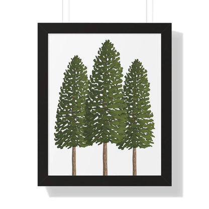 Ponderosa Pine Framed Print – Wall Art