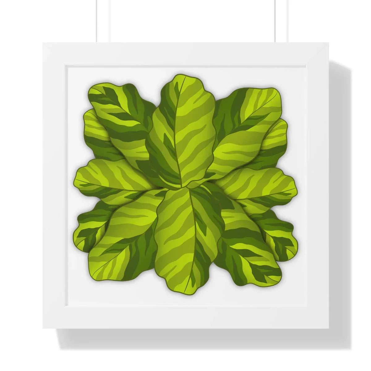 Calathea Yellow Fusion Framed Print – Botanical Wall Art