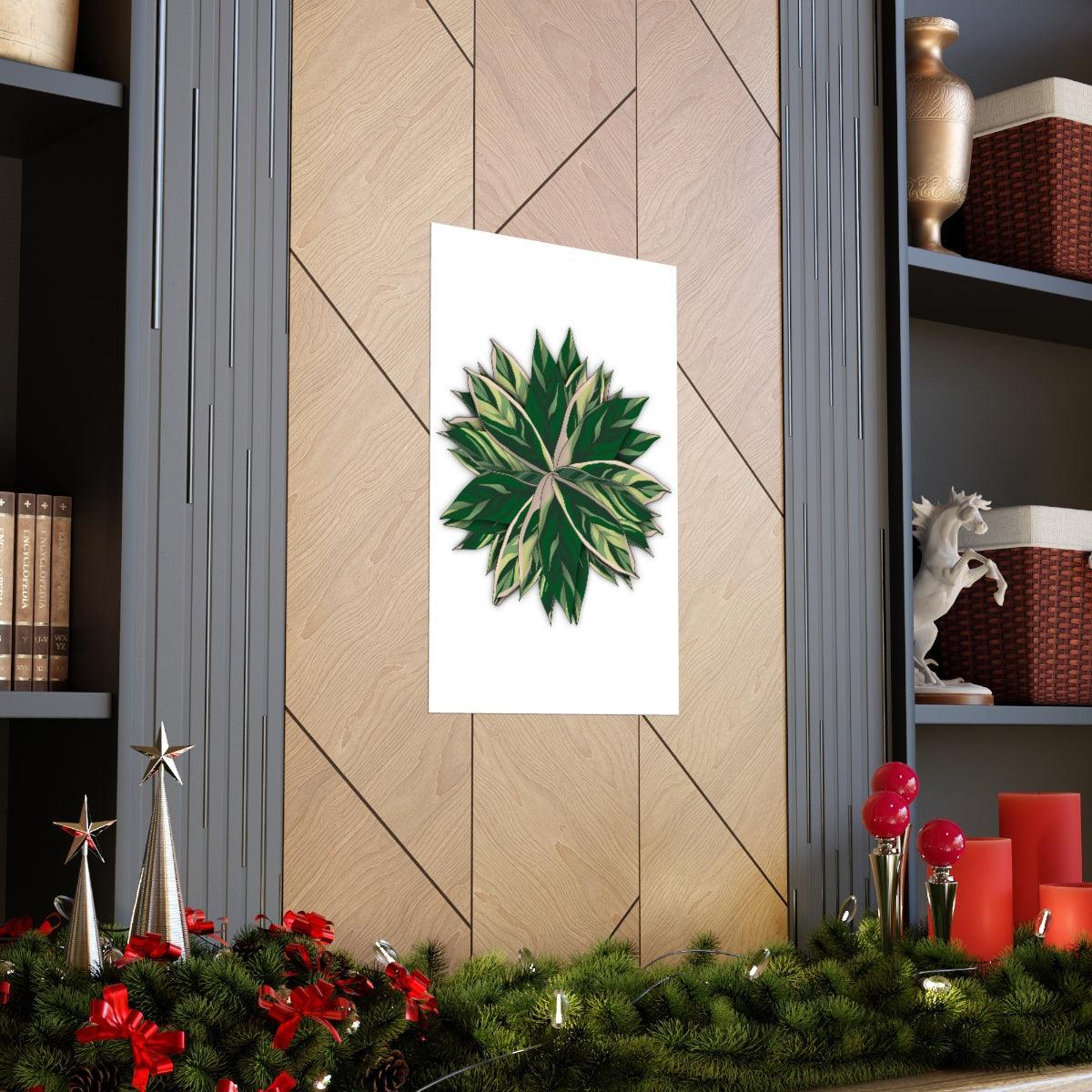 Stromanthe Triostar Botanical Print – Unframed Wall Art