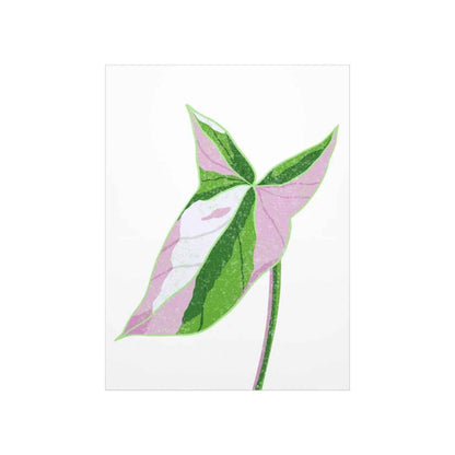 Syngonium Tricolor Botanical Print – Unframed Wall Art