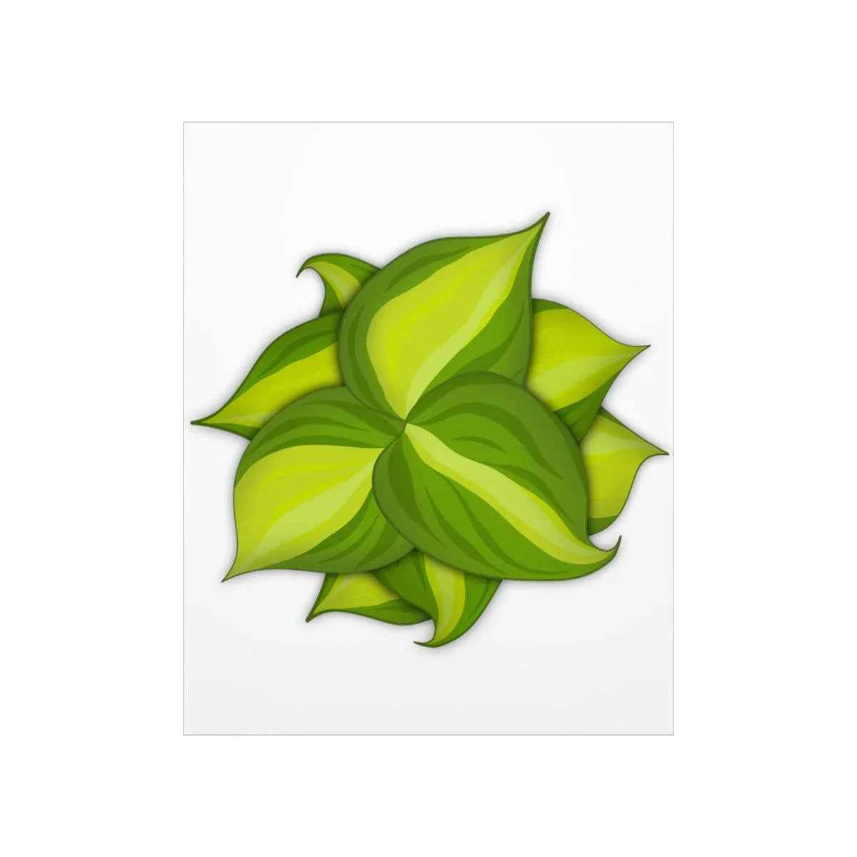 Philodendron Brasil Botanical Print – Unframed Wall Art
