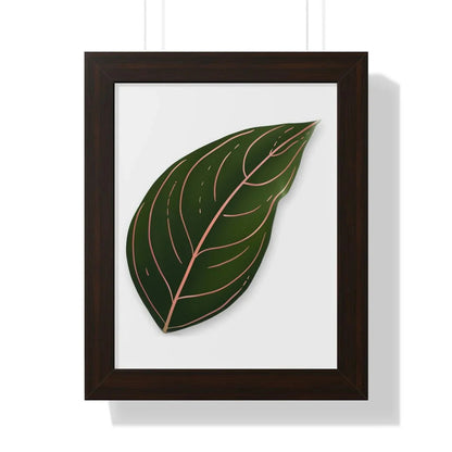 Aglaonema Rotundum Framed Print – Botanical Wall Art
