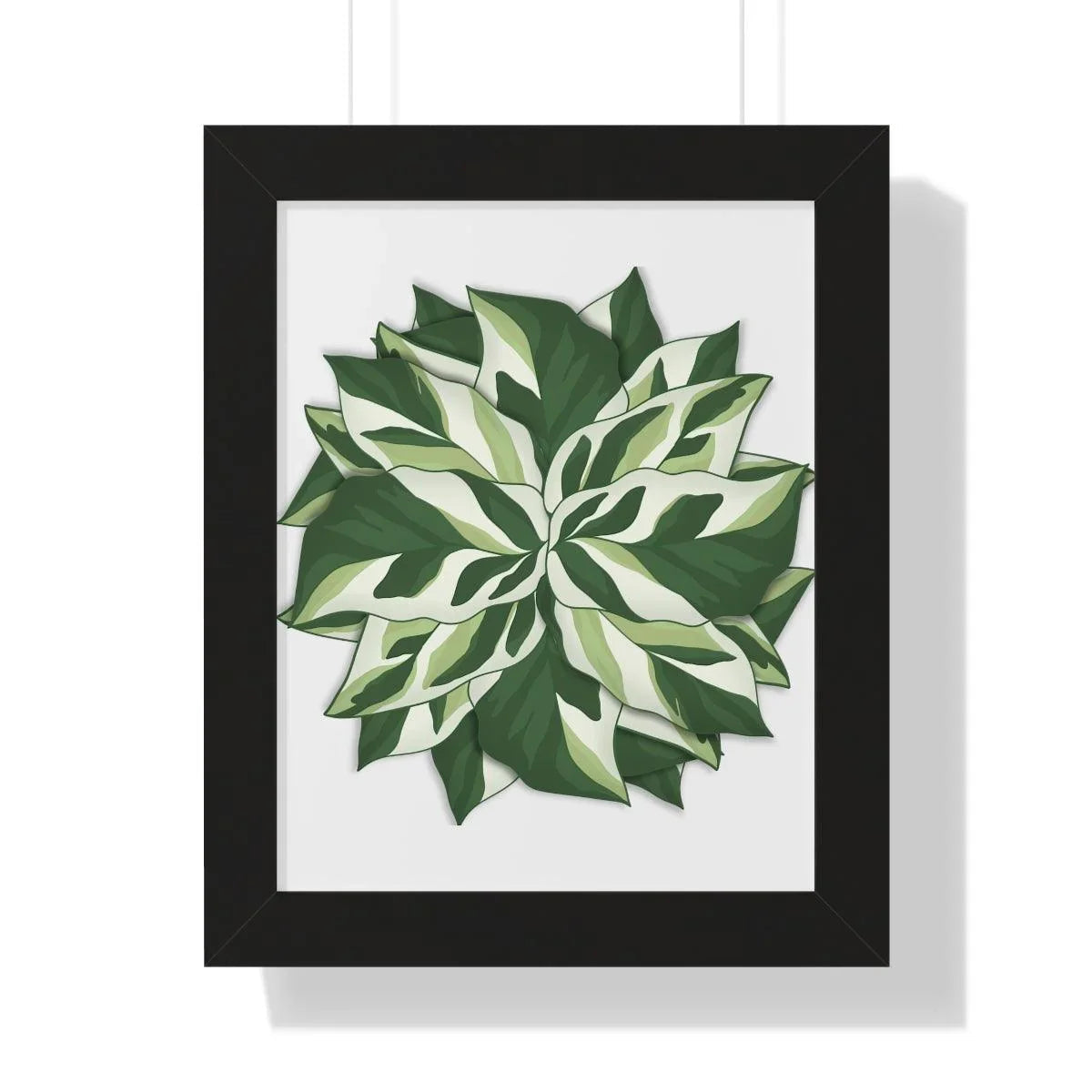 Calathea White Fusion Framed Print – Botanical Wall Art