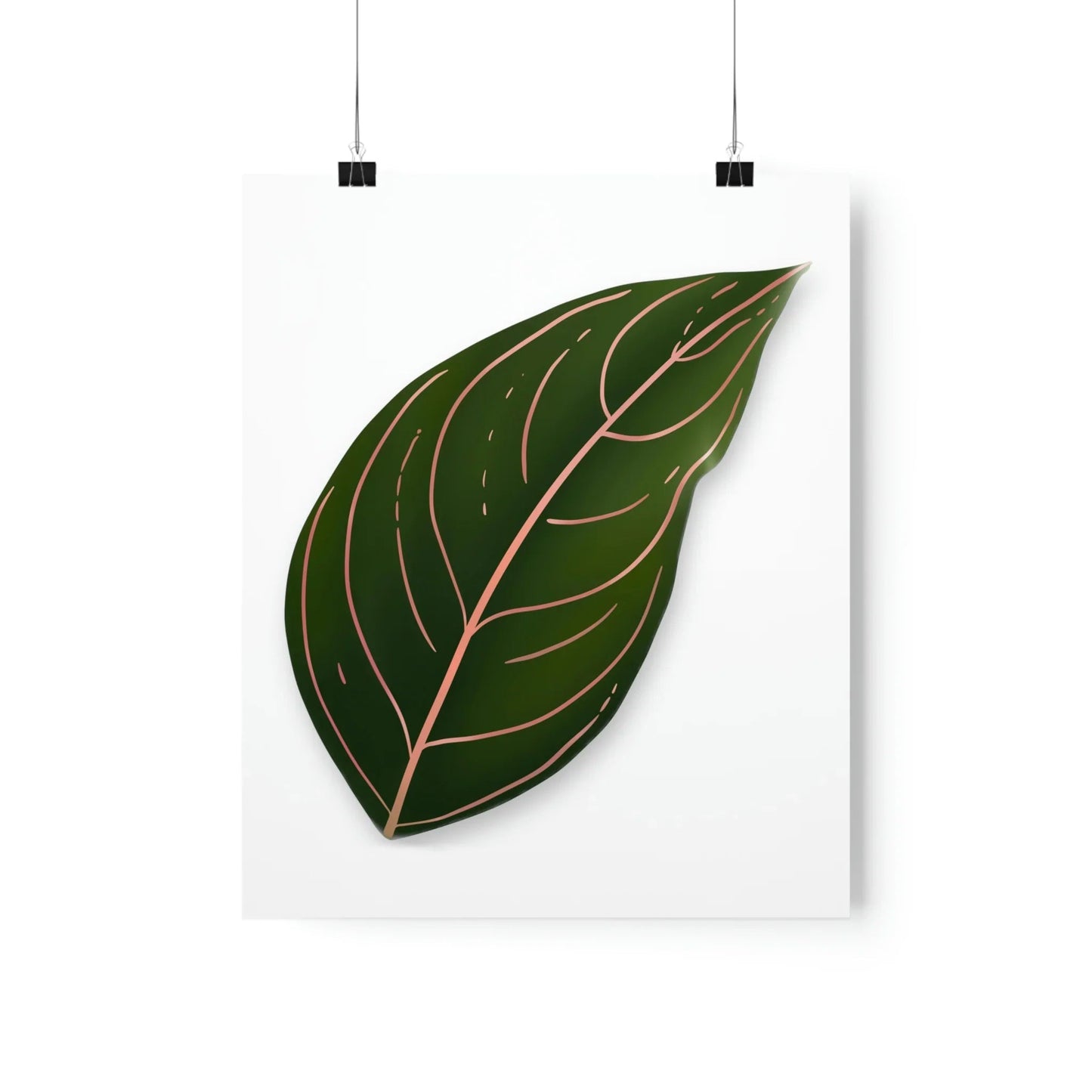 Aglaonema Rotundum Botanical Print – Unframed Wall Art