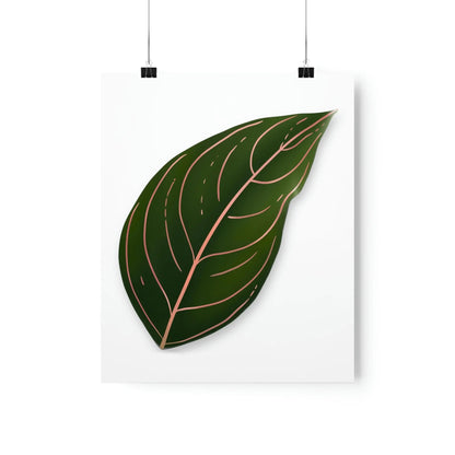 Aglaonema Rotundum Botanical Print – Unframed Wall Art