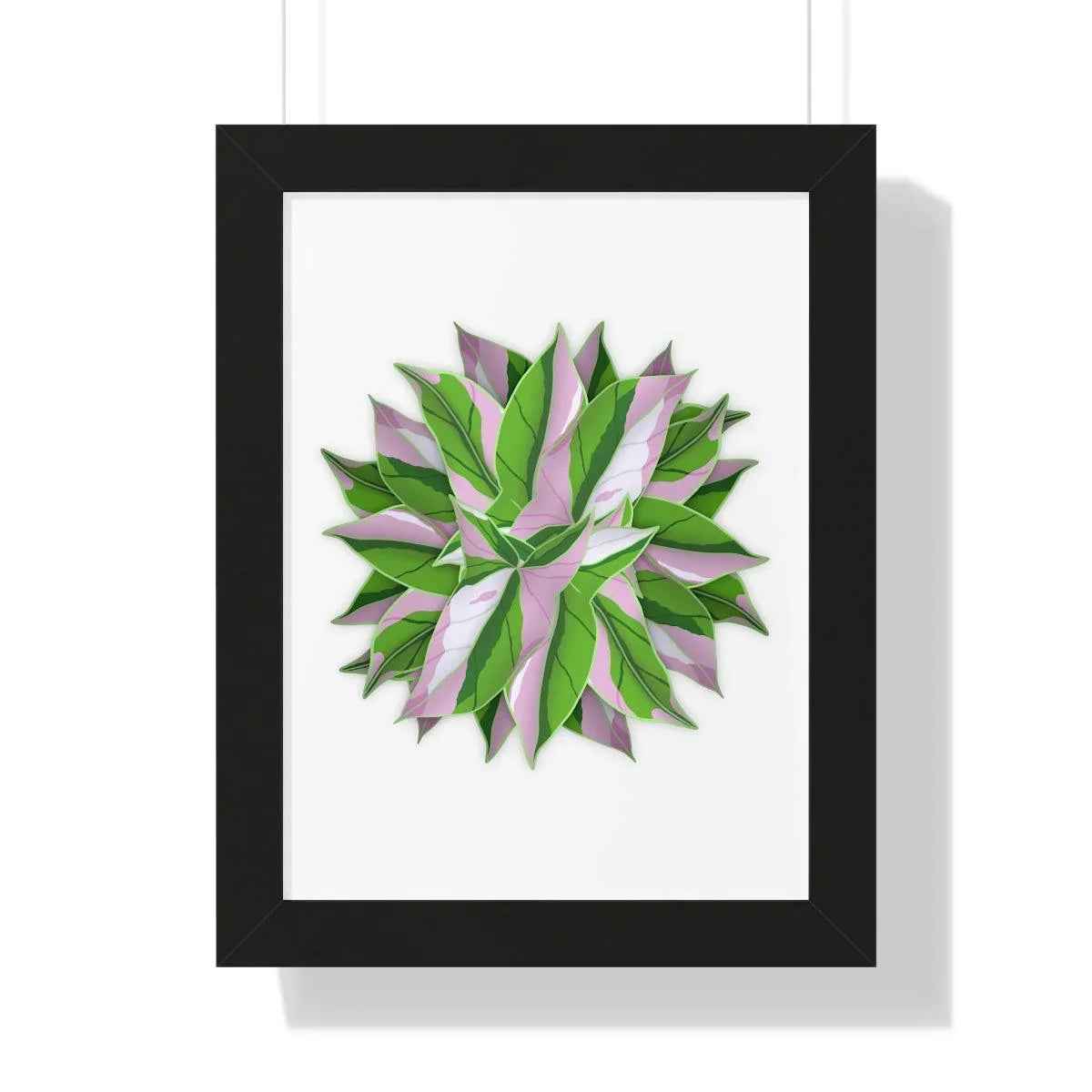 Syngonium Tricolor Pattern Framed Print – Botanical Wall Art