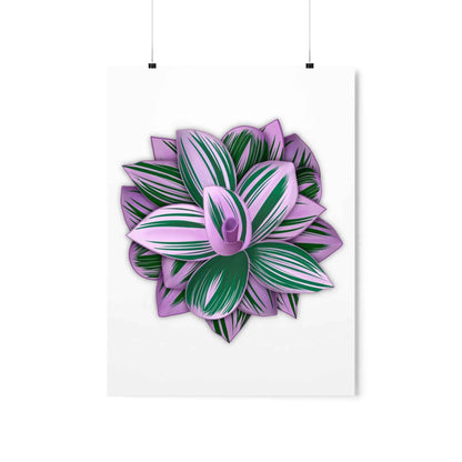 Tradescantia Nanouk Botanical Print – Unframed Wall Art