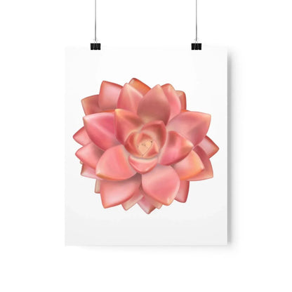 Graptosedum California Sunset Succulent Botanical Print – Unframed Wall Art