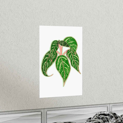 Aglaonema Sparkling Sarah Botanical Print – Unframed Wall Art