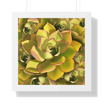 Noble Aeonium Succulent Pattern Framed Print – Botanical Wall Art