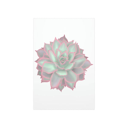 Echeveria Violet Queen Succulent Botanical Print – Unframed Wall Art