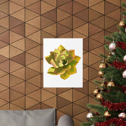 Noble Aeonium Succulent Botanical Print – Unframed Wall Art