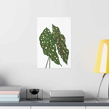 Begonia Maculata Botanical Print – Unframed Wall Art