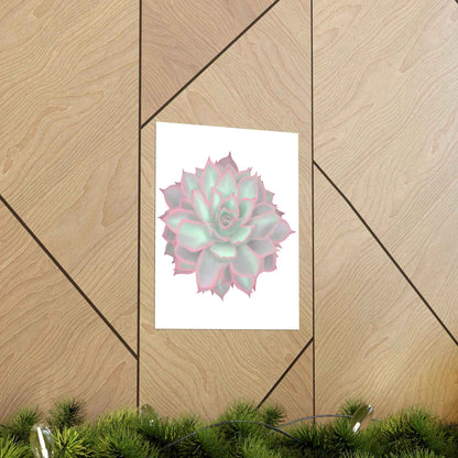 Echeveria Violet Queen Succulent Botanical Print – Unframed Wall Art