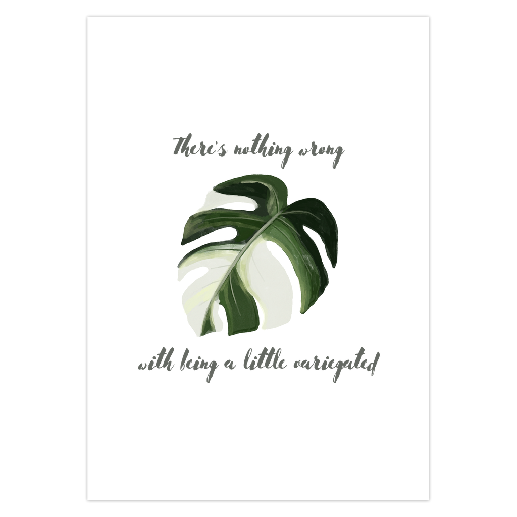 Monstera Albo Greeting Card – Blank Inside With Envelope