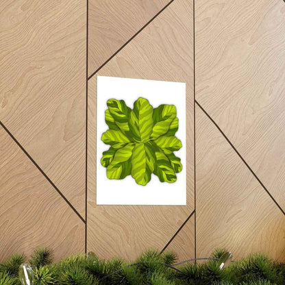Calathea Yellow Fusion Botanical Print – Unframed Wall Art