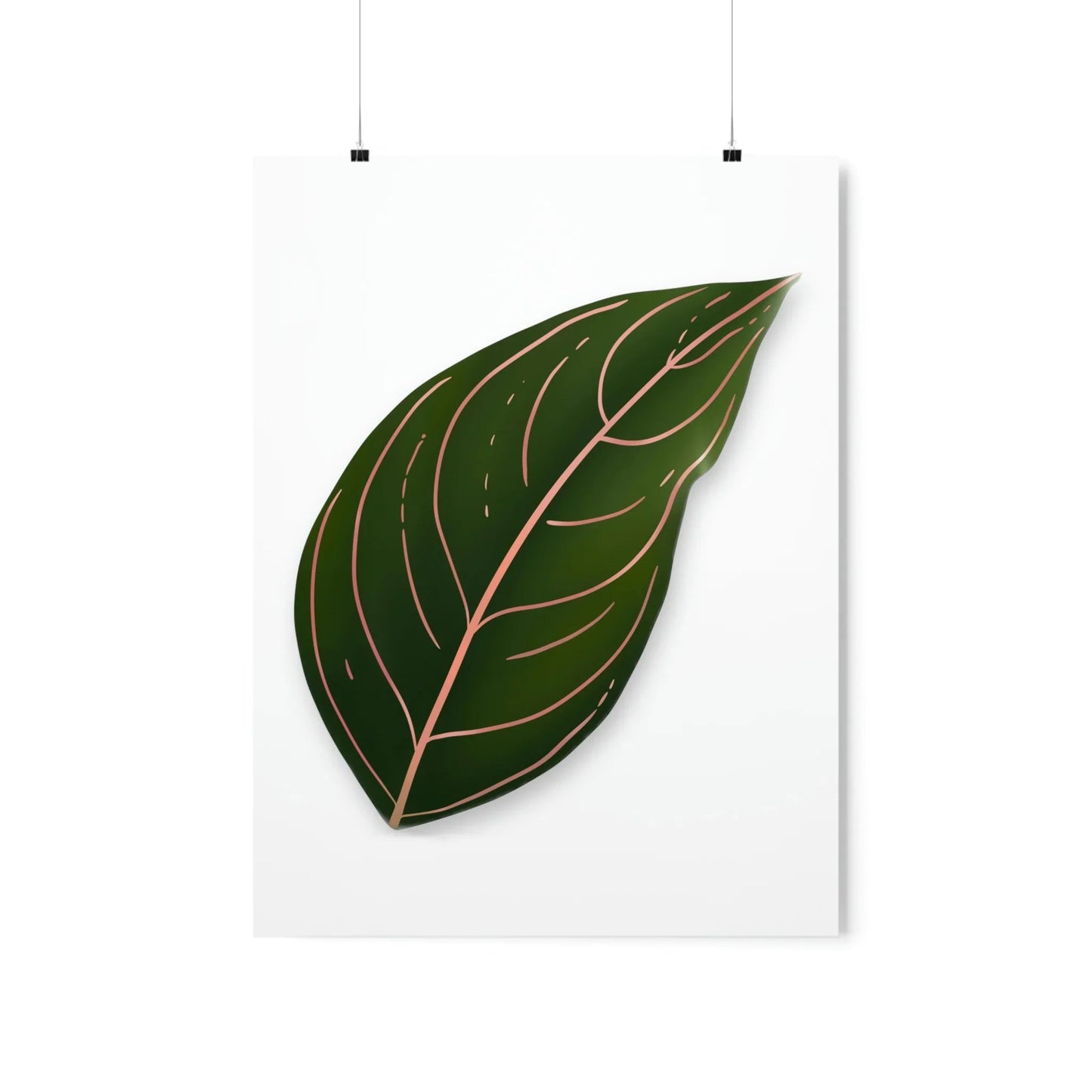 Aglaonema Rotundum Botanical Print – Unframed Wall Art