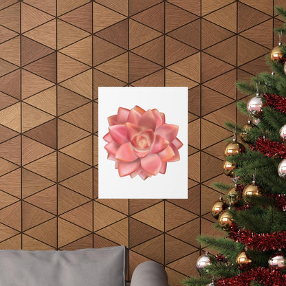 Graptosedum California Sunset Succulent Botanical Print – Unframed Wall Art