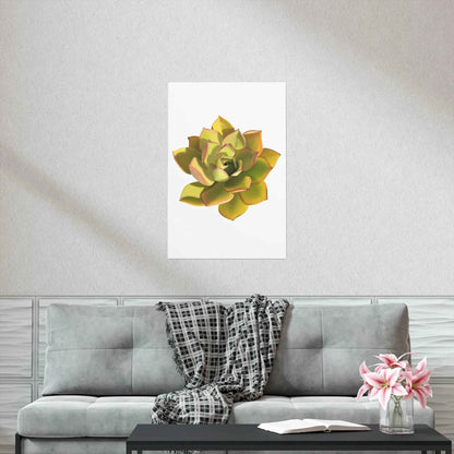 Noble Aeonium Succulent Botanical Print – Unframed Wall Art