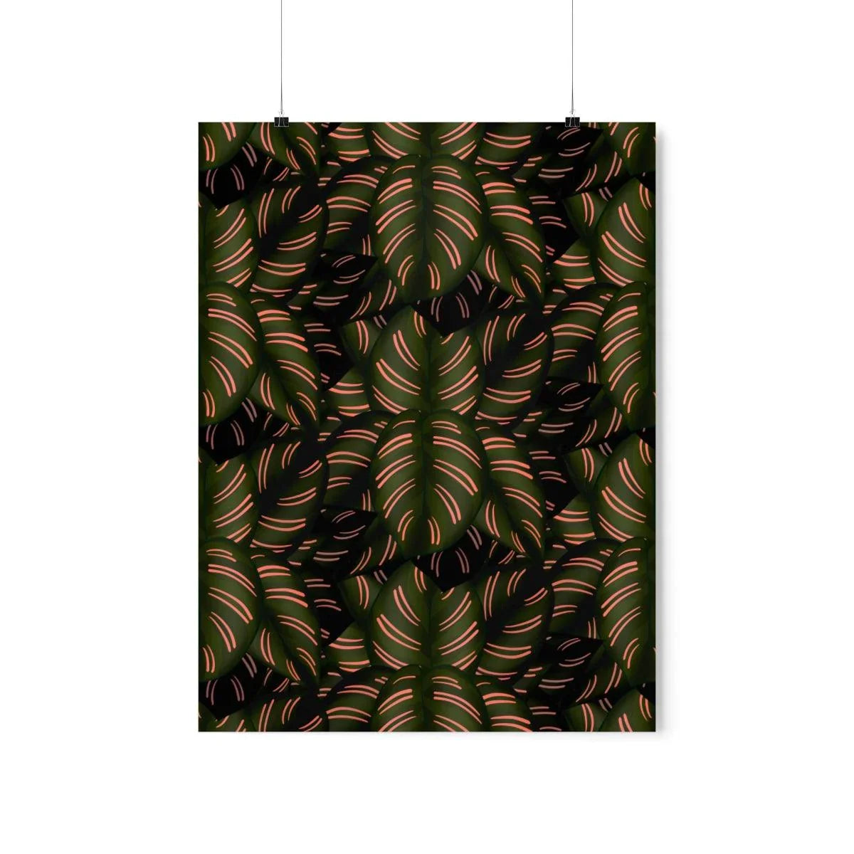 Calathea Pinstripe Botanical Print – Unframed Wall Art