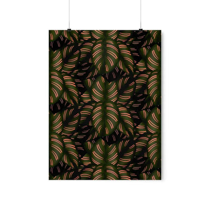 Calathea Pinstripe Botanical Print – Unframed Wall Art