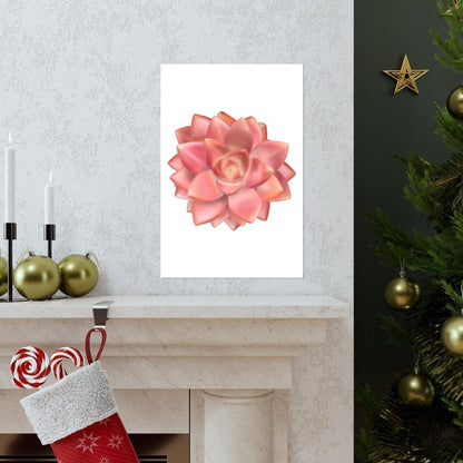 Graptosedum California Sunset Succulent Botanical Print – Unframed Wall Art