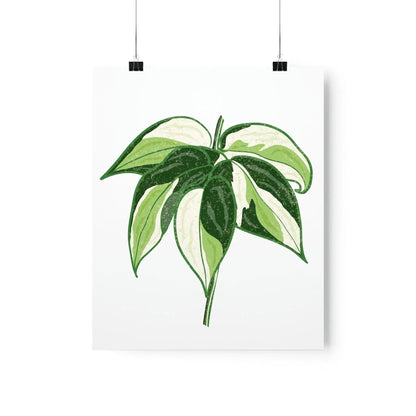 Philodendron Cream Splash Botanical Print – Unframed Wall Art