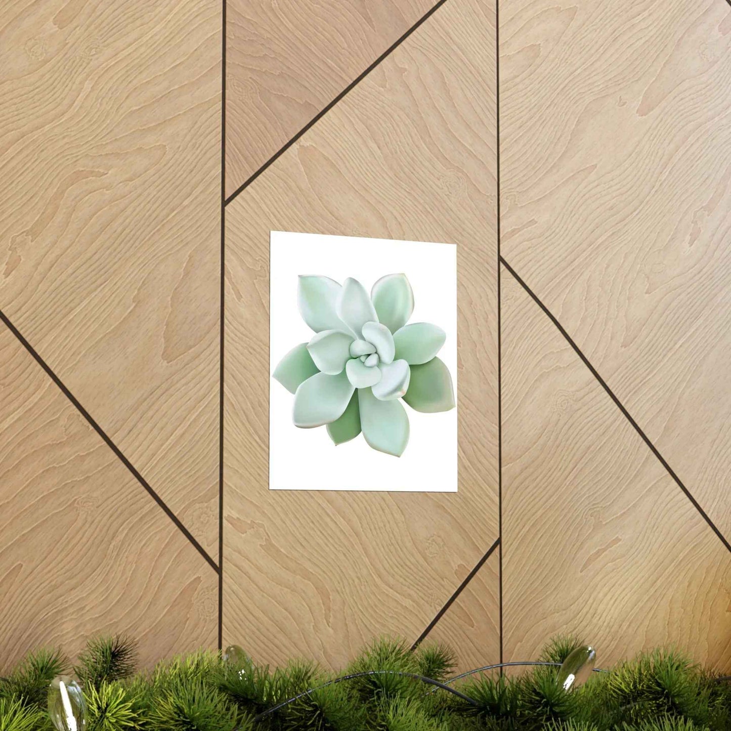 Pachyveria Haagei Succulent Botanical Print – Unframed Wall Art