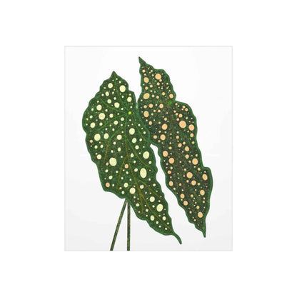 Begonia Maculata Botanical Print – Unframed Wall Art
