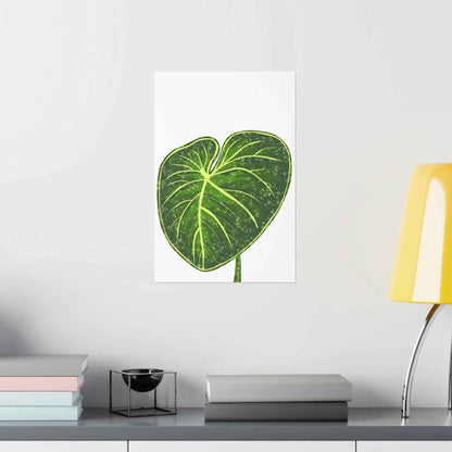 Philodendron Gloriosum Botanical Print – Unframed Wall Art
