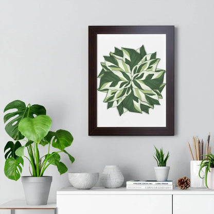 Calathea White Fusion Framed Print – Botanical Wall Art