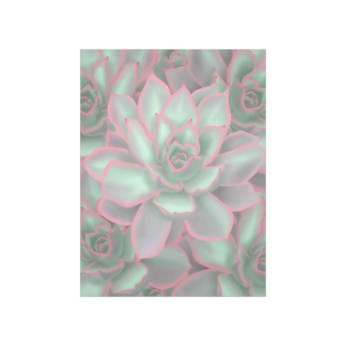 Echeveria Violet Queen Succulent Pattern Botanical Print – Unframed Wall Art
