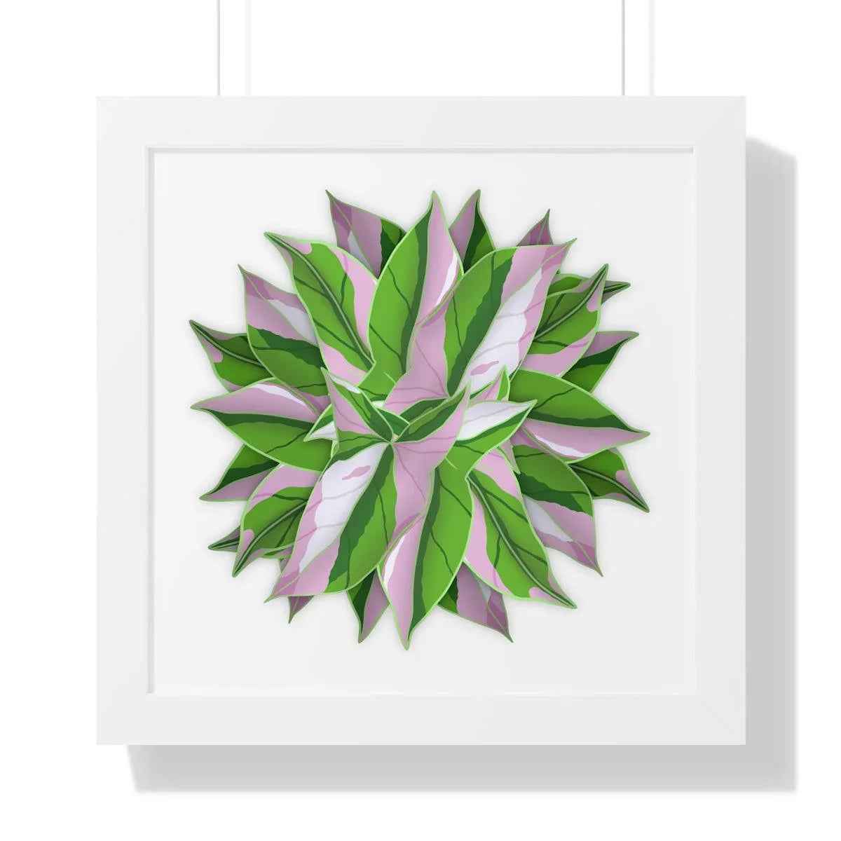 Syngonium Tricolor Pattern Framed Print – Botanical Wall Art