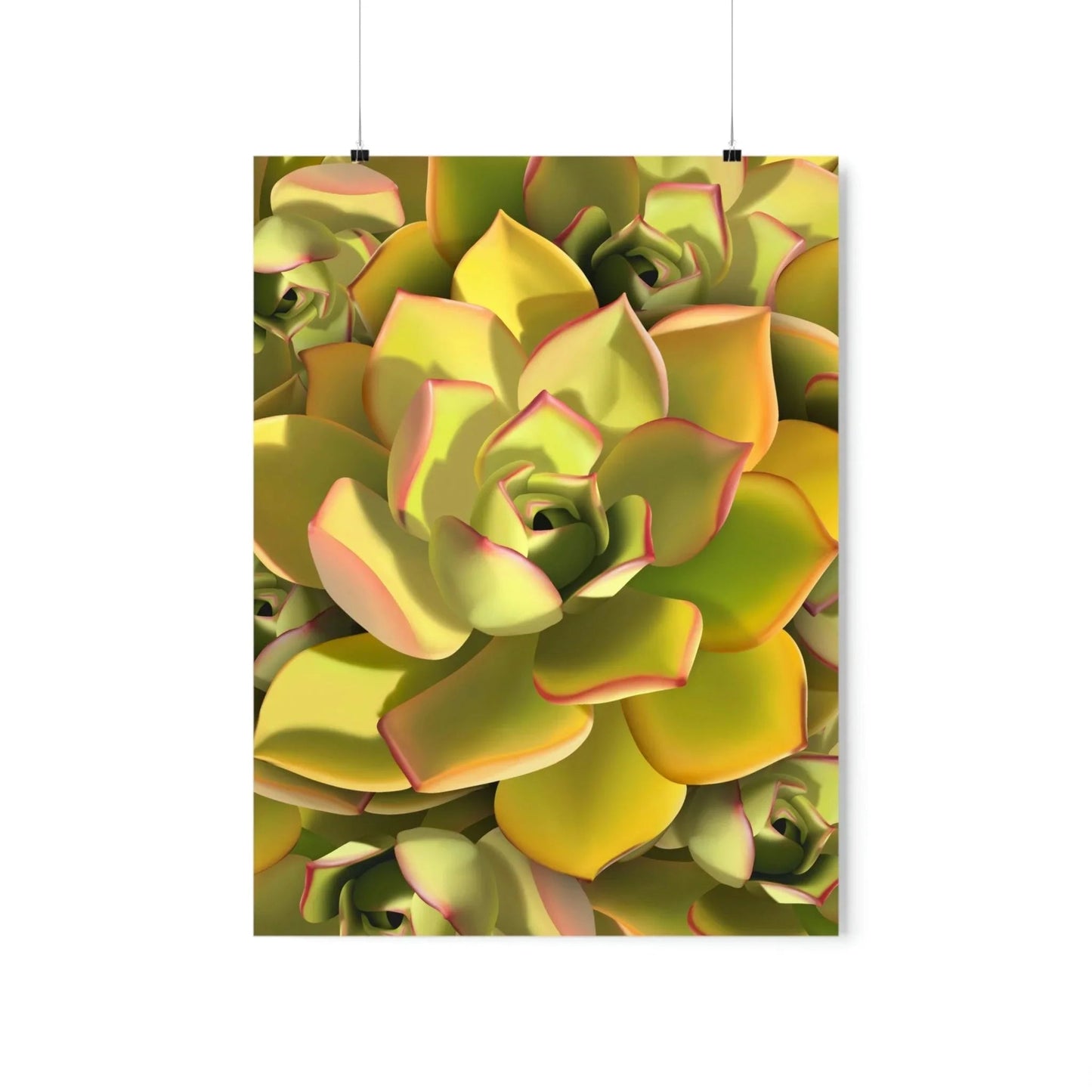 Noble Aeonium Succulent Pattern Botanical Print – Unframed Wall Art