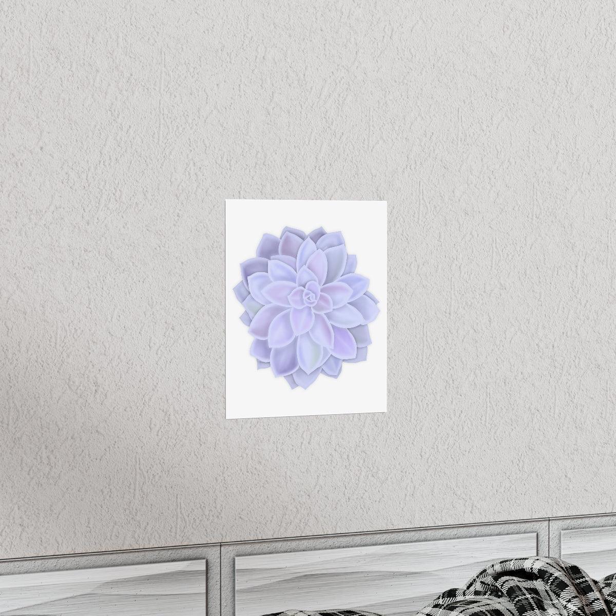 Graptopetalum Murasaki Succulent Botanical Print – Unframed Wall Art