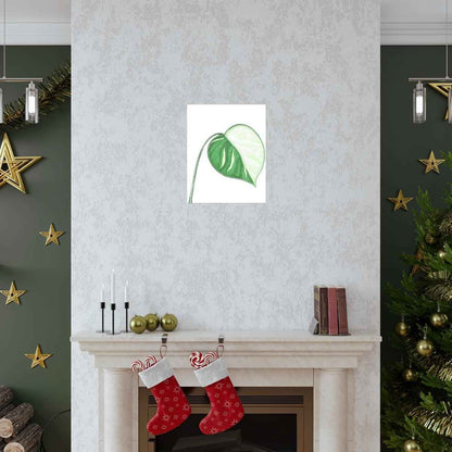 Monstera Albo Botanical Print – Unframed Wall Art