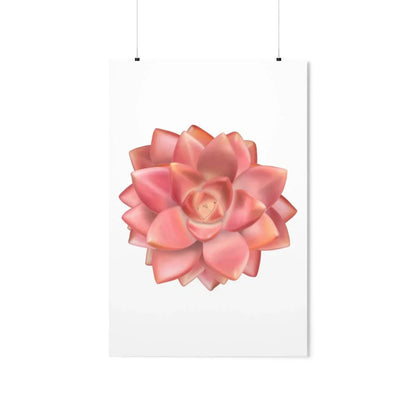 Graptosedum California Sunset Succulent Botanical Print – Unframed Wall Art