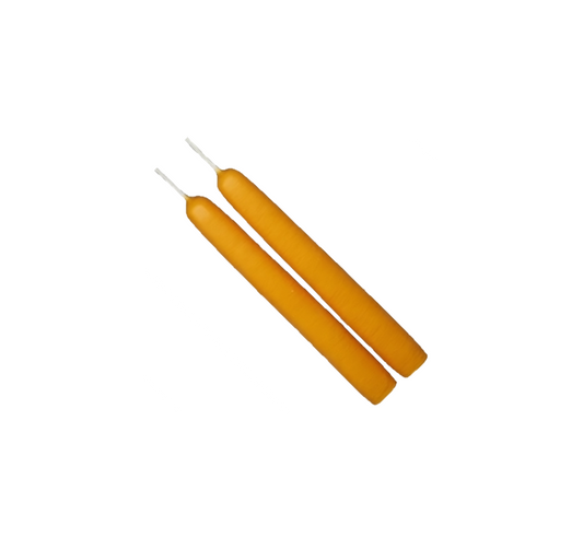 Mole Hollow Taper Pair (Yellow Gold) -
